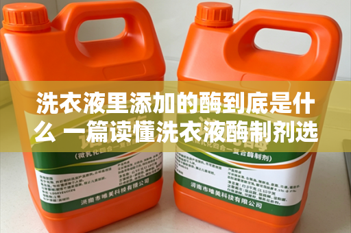洗衣液里添加的酶到底是什么 一篇读懂洗衣液酶制剂选型及适配用户