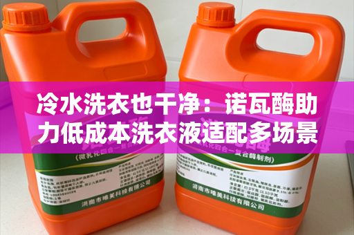 冷水洗衣也干净：诺瓦酶助力低成本洗衣液适配多场景去污