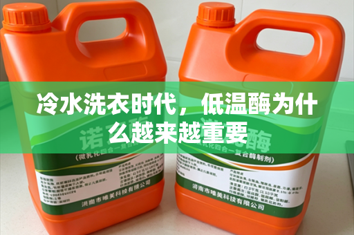 冷水洗衣时代，低温酶为什么越来越重要