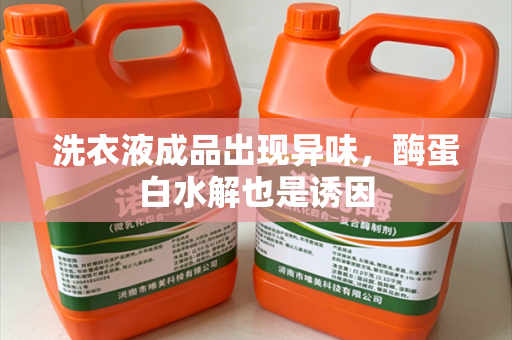 洗衣液成品出现异味，酶蛋白水解也是诱因