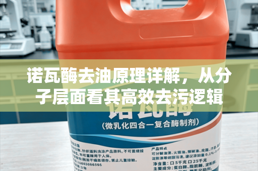 诺瓦酶去油原理详解，从分子层面看其高效去污逻辑