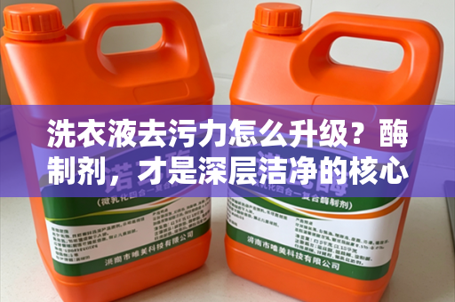 洗衣液去污力怎么升级？酶制剂，才是深层洁净的核心关键